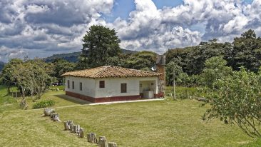 Servicio de desbroce profesional