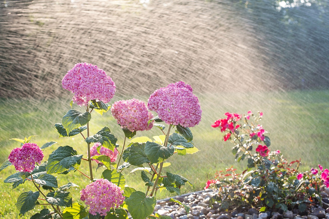 SISTEMAS DE RIEGO PARA JARDÍN